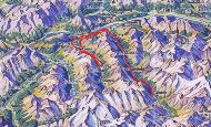 Krt_Tag2_117 Krt_Tag2_117